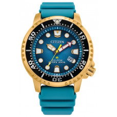 Наручные часы Citizen Eco-Drive BN0162-02X