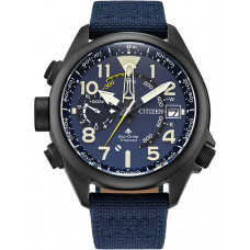 Наручные часы Citizen Eco-Drive BN4065-07L