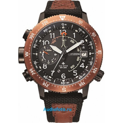 Наручные часы Citizen Eco-Drive BN4049-11E