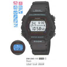 Casio DW-290-1V