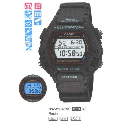 Casio DW-290-1V