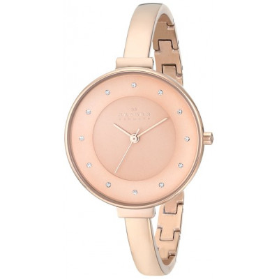 Наручные часы Skagen SKW2230