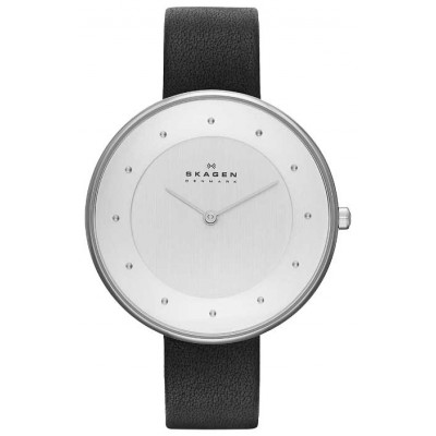 Наручные часы Skagen SKW2232